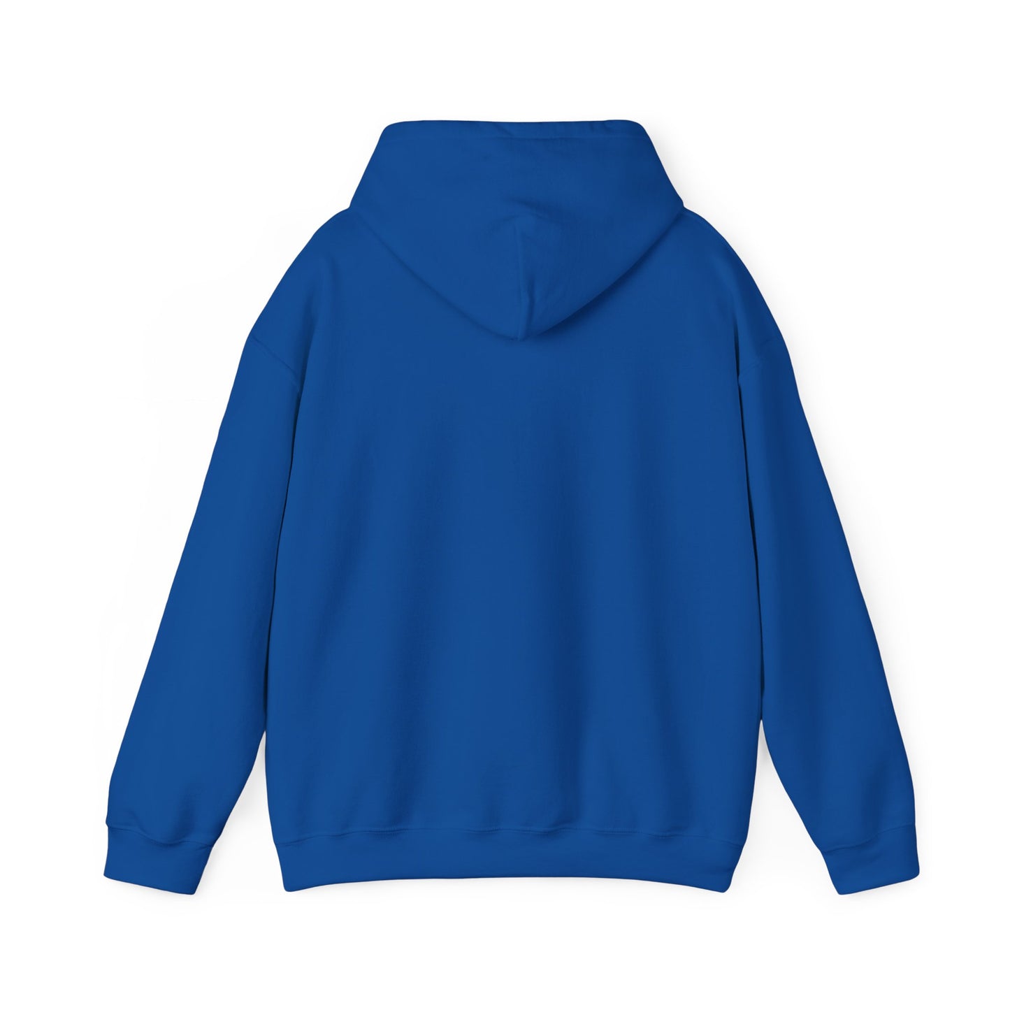 The MAAS Tour Hoodie