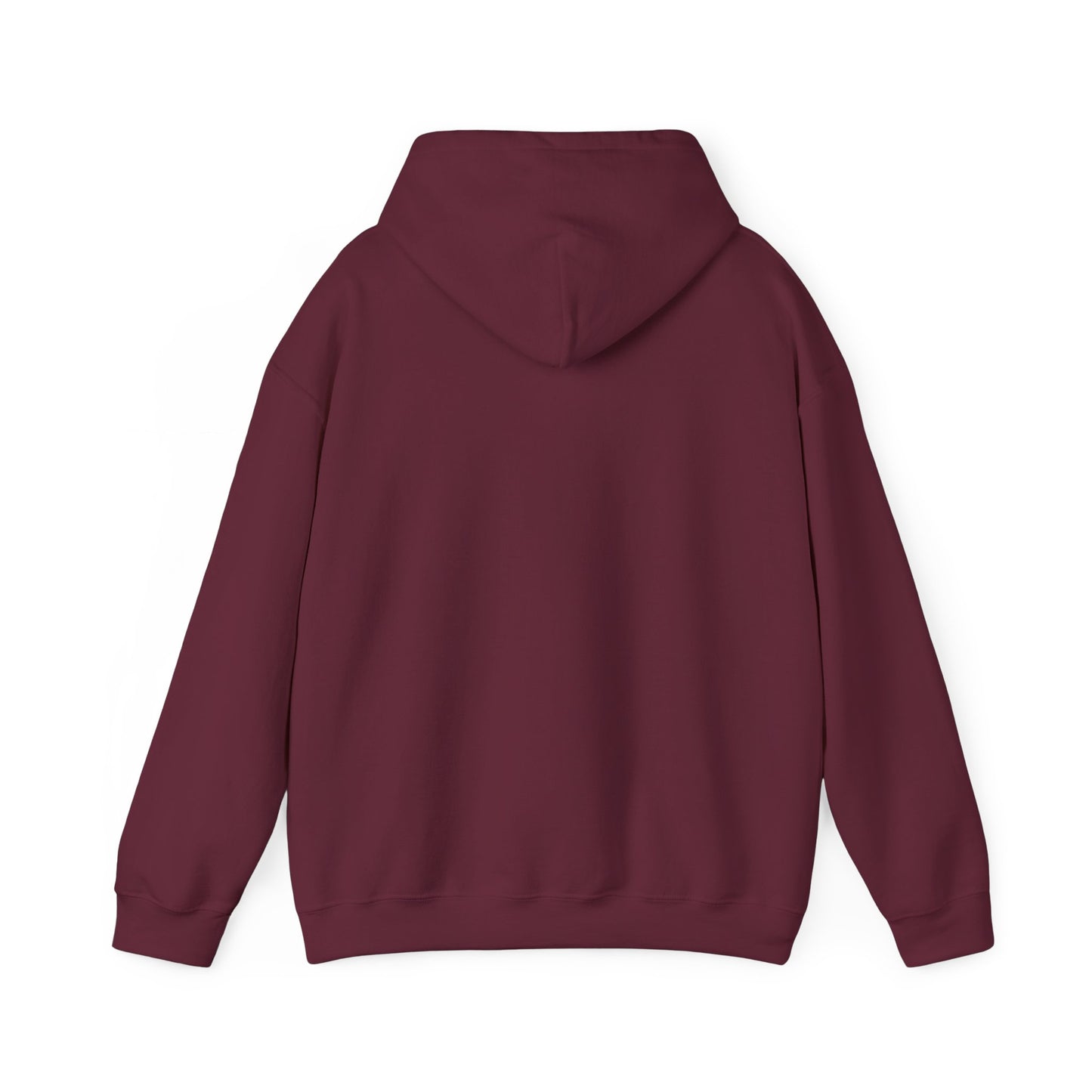 The MAAS Tour Hoodie