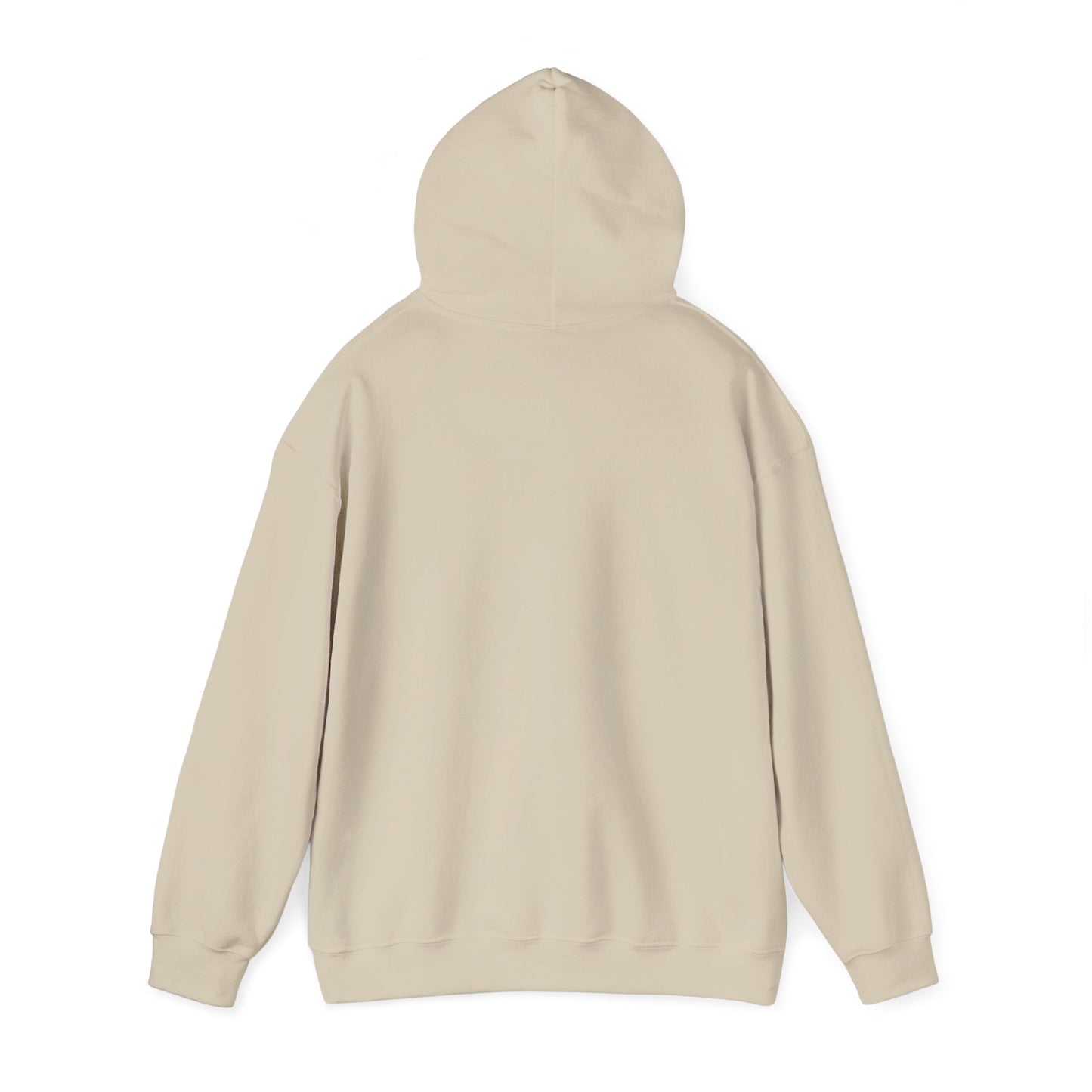 The MAAS Tour Hoodie