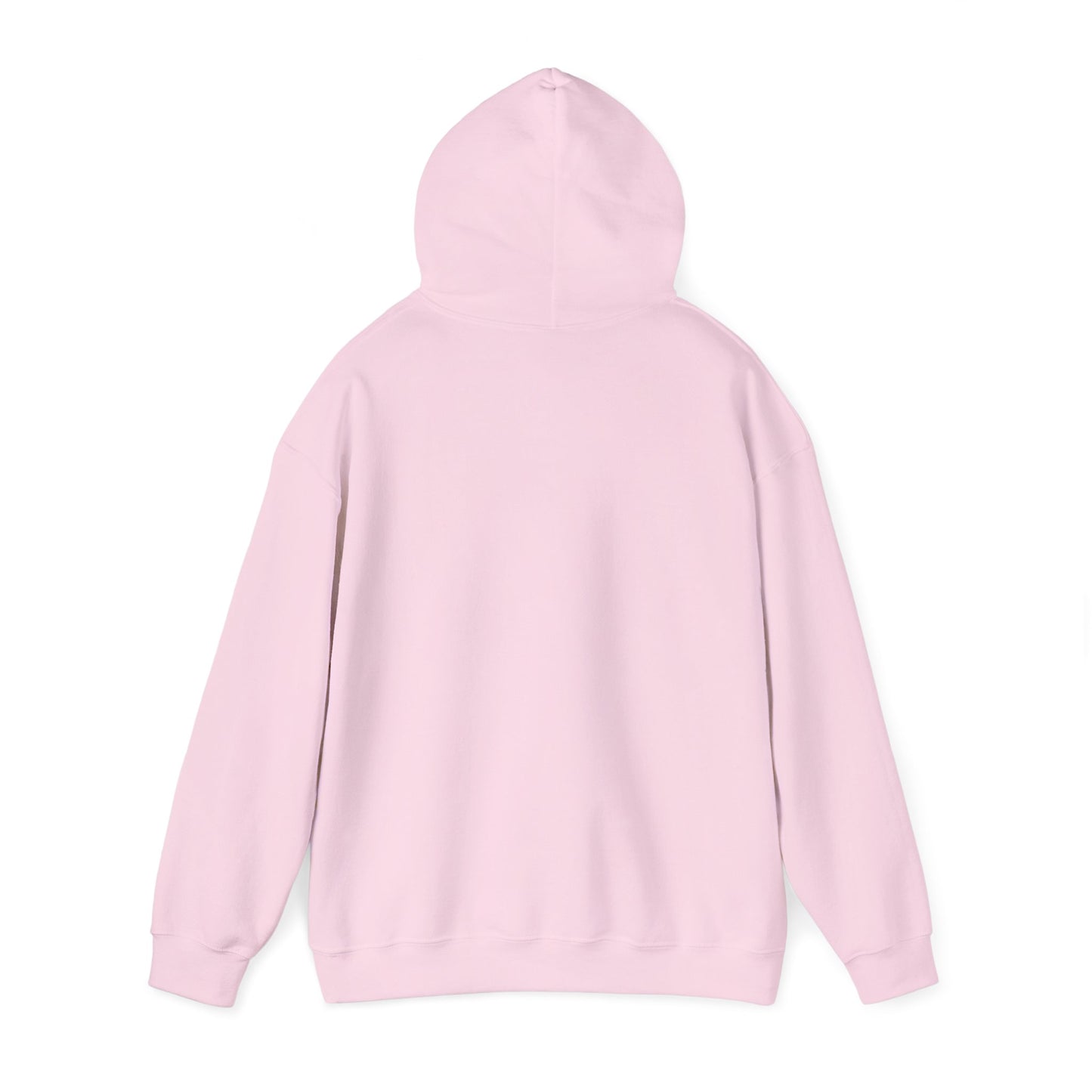 The MAAS Tour Hoodie