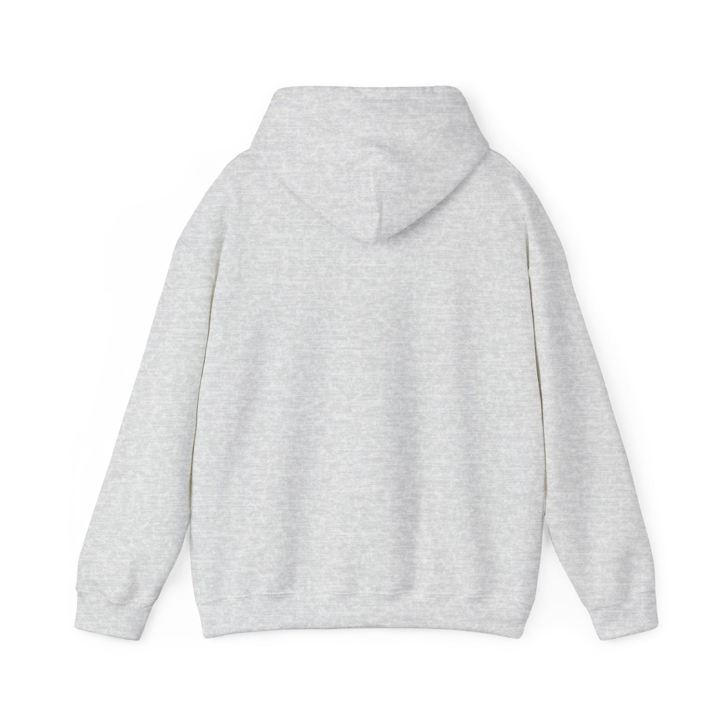 The MAAS Tour Hoodie