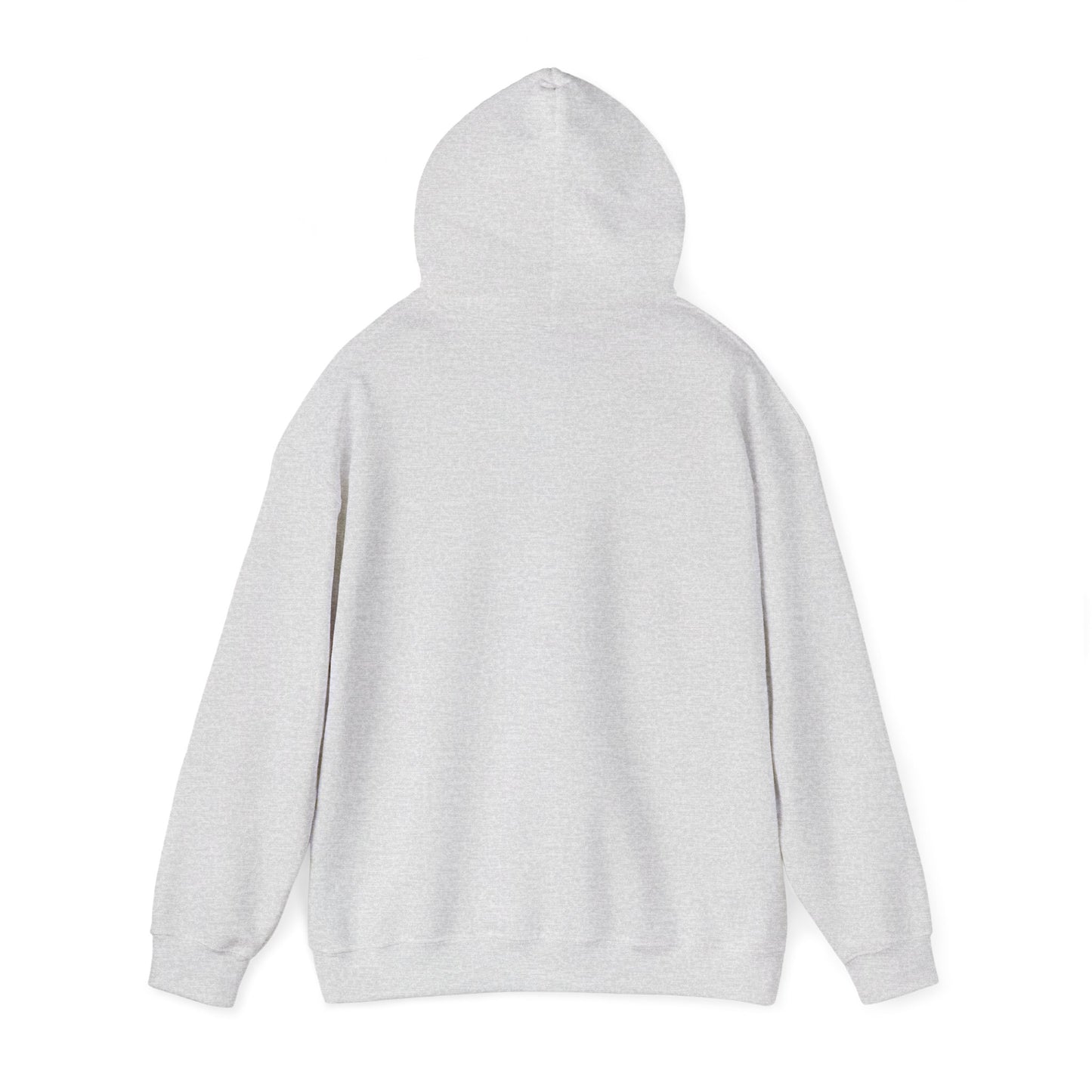 The MAAS Tour Hoodie